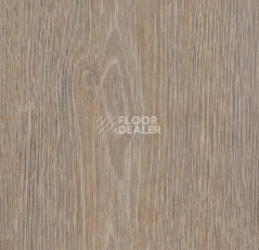Кварцвиниловые полы Forbo Allura Click 60293CL5 steamed oak фото 1 | FLOORDEALER